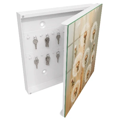 Dandelions beauty Wall mounted key box