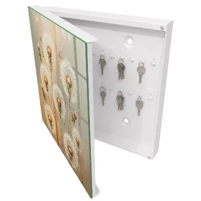 Dandelions beauty Wall mounted key box