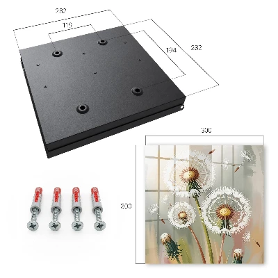 Delicate dandelions Key cabinet