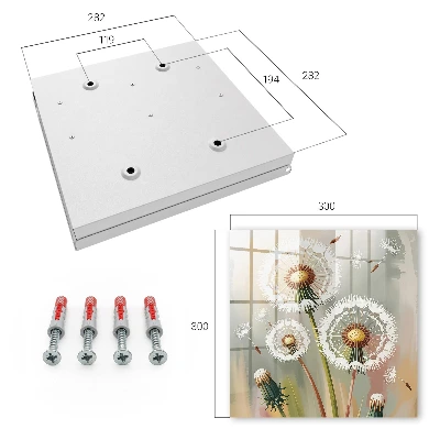 Delicate dandelions Key cabinet