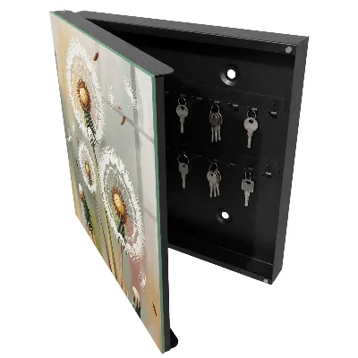 Delicate dandelions Key cabinet