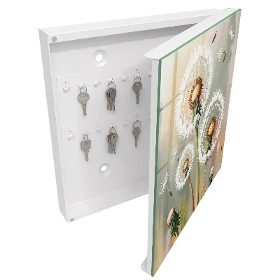 Delicate dandelions Key cabinet