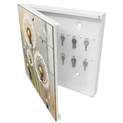 Delicate dandelions Key cabinet