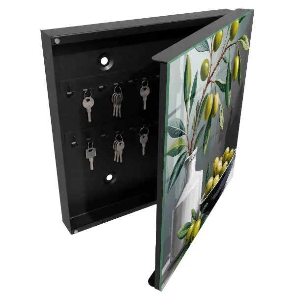 Olive green Key box for wall