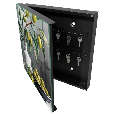 Olive green Key box for wall