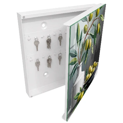 Olive green Key box for wall