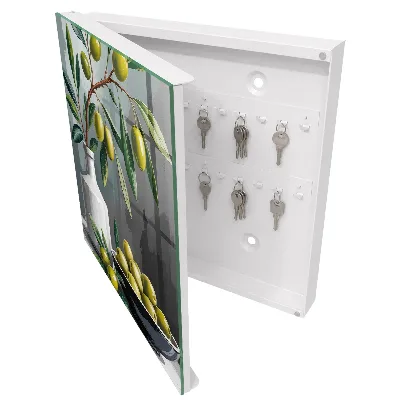 Olive green Key box for wall