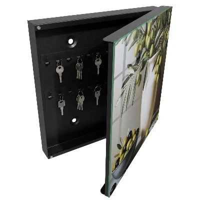 Olive nature Wall mounted key box