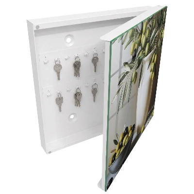 Olive nature Wall mounted key box