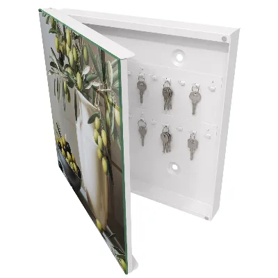 Olive nature Wall mounted key box