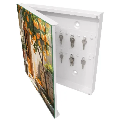 Orange garden Key cabinet