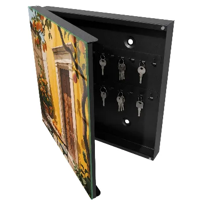 Orange patio Wall mounted key box