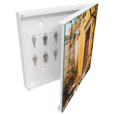 Orange patio Wall mounted key box