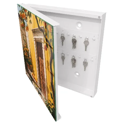 Orange patio Wall mounted key box