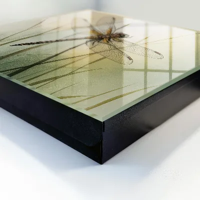 Dragonfly nature Key box for wall