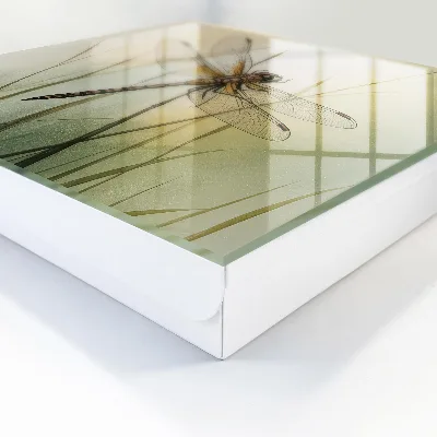 Dragonfly nature Key box for wall
