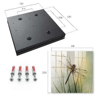 Dragonfly nature Key box for wall
