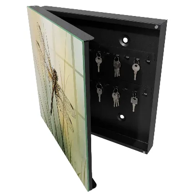 Dragonfly nature Key box for wall