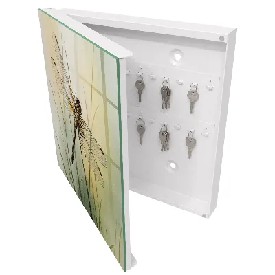 Dragonfly nature Key box for wall