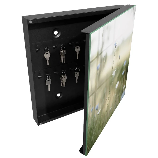 Delicate flowers Wall mounted key box