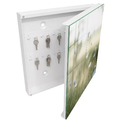 Delicate flowers Wall mounted key box