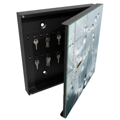 Dew drops Key box for wall