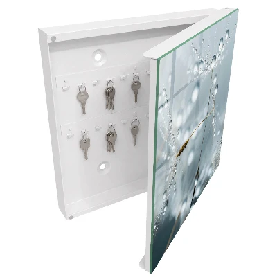 Dew drops Key box for wall