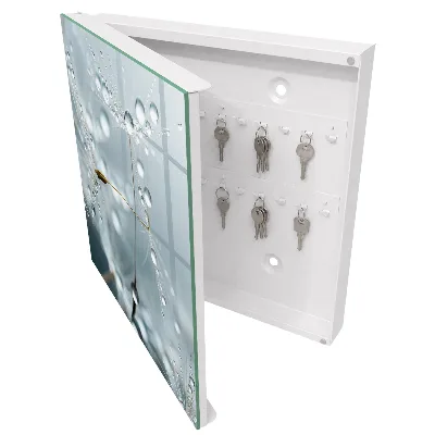 Dew drops Key box for wall