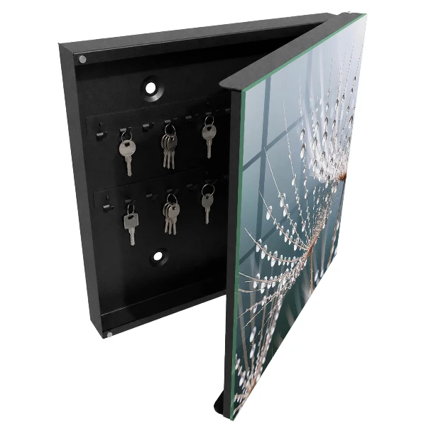 Water drops Wall mounted key box