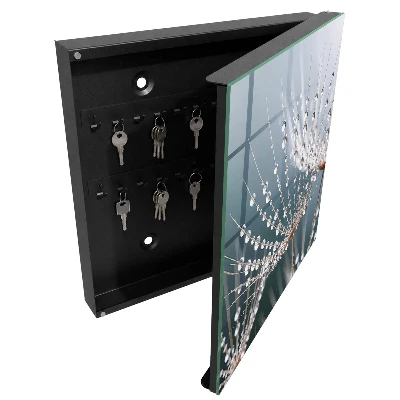 Water drops Wall mounted key box