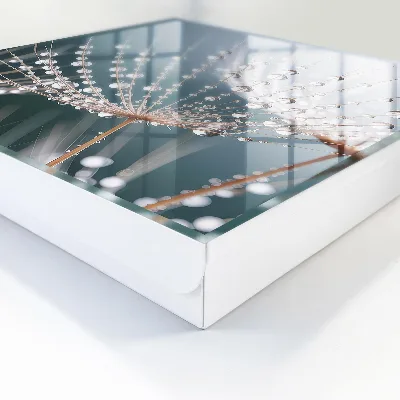Water drops Wall mounted key box