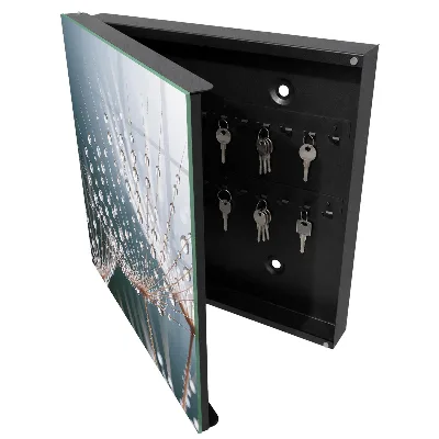 Water drops Wall mounted key box