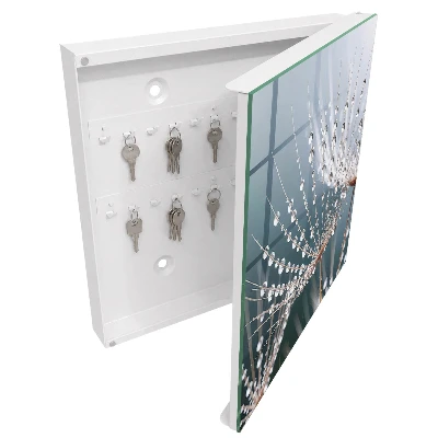 Water drops Wall mounted key box