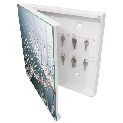 Water drops Wall mounted key box