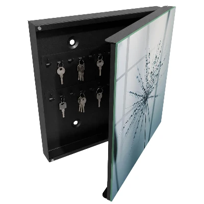 Dandelion and water drops Key cabinet