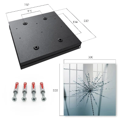 Dandelion and water drops Key cabinet