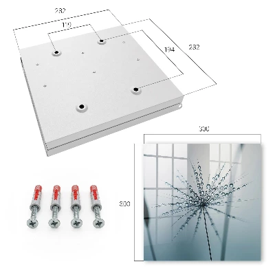 Dandelion and water drops Key cabinet