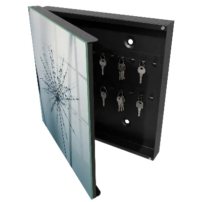 Dandelion and water drops Key cabinet