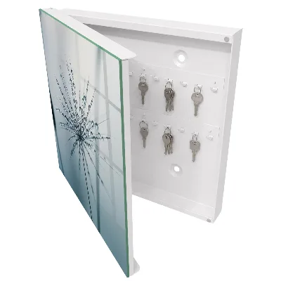 Dandelion and water drops Key cabinet