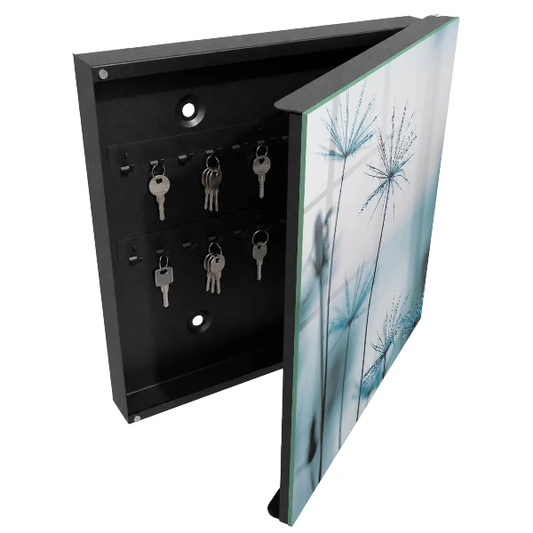 Dandelions and dew Key box for wall