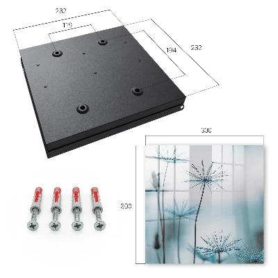 Dandelions and dew Key box for wall