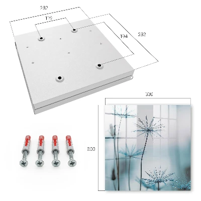Dandelions and dew Key box for wall