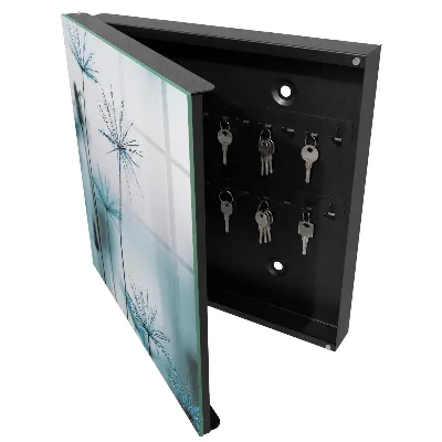 Dandelions and dew Key box for wall