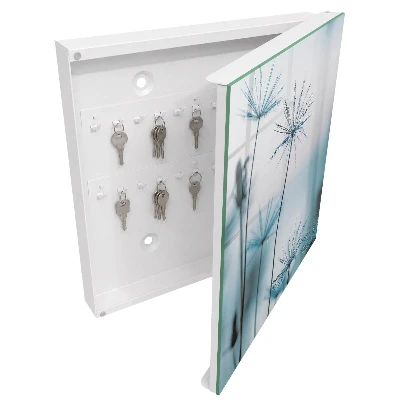 Dandelions and dew Key box for wall
