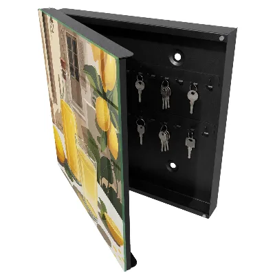 Lemon feast Key cabinet