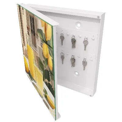 Lemon feast Key cabinet