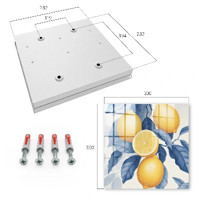 Lemon charm Wall mounted key box