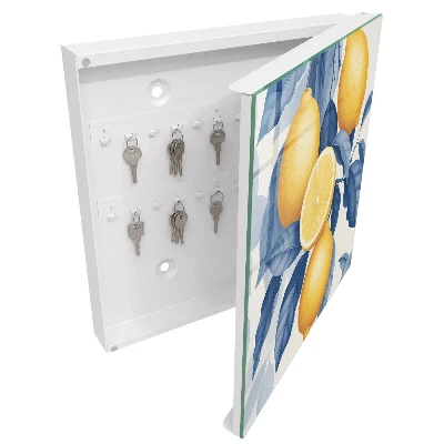 Lemon charm Wall mounted key box