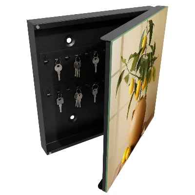 Lemons in a pitcher Wall mounted key box