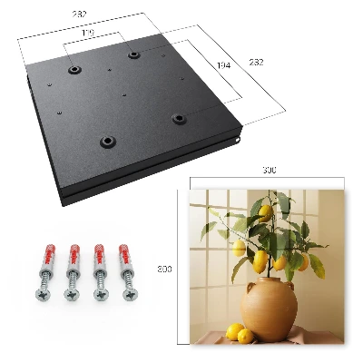 Lemons in a pitcher Wall mounted key box